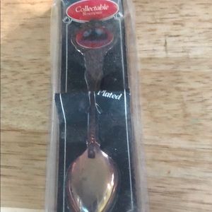 San Diego Souvenir spoon